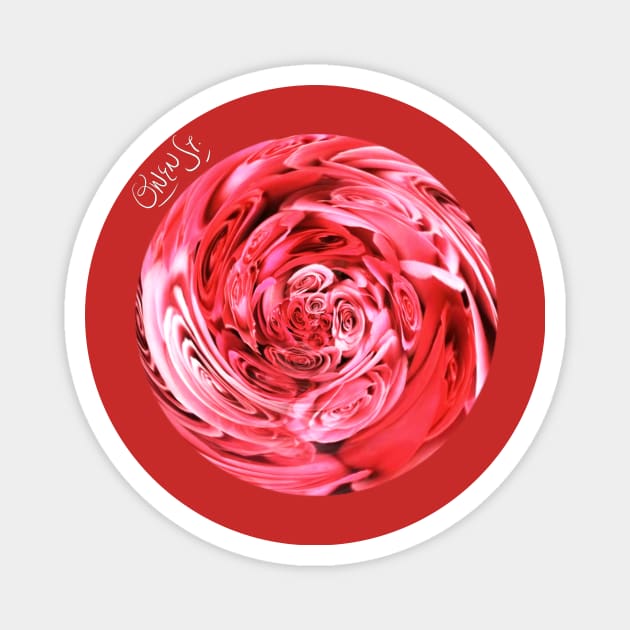 Rosey Magnet by Owen St Merch